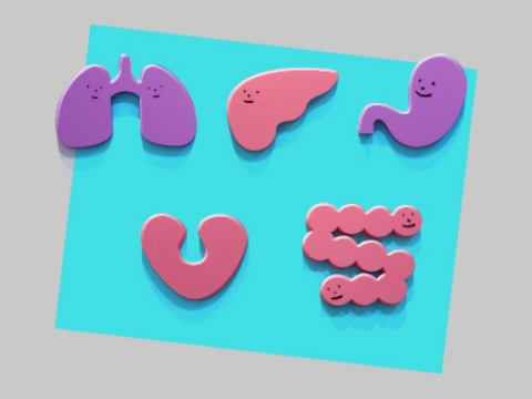 Наталия Римша - Пищеварение_ проблемы и решения (2_0.jpg